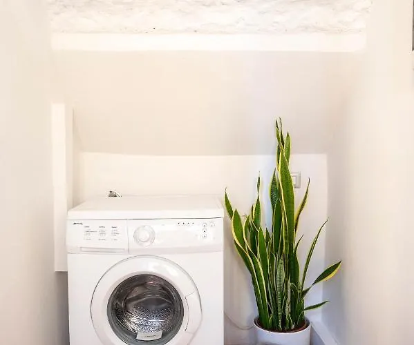 Orange Tuscany Flat *